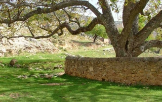 Ruta 10 La Dehesa Fte Camarillas Los Casares La Dehesa