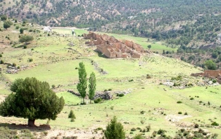 Ruta 11 Del Cortijo Nuevo al Cortijo del Zapatero