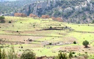 Ruta 11 Del Cortijo Nuevo al Cortijo del Zapatero