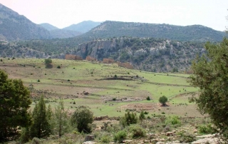 Ruta 11 Del Cortijo Nuevo al Cortijo del Zapatero