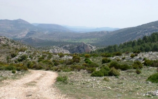 Ruta 11 Del Cortijo Nuevo al Cortijo del Zapatero