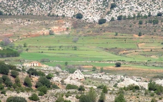 Ruta 11 Del Cortijo Nuevo al Cortijo del Zapatero