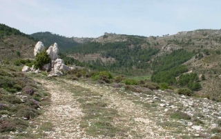 Ruta 11 Del Cortijo Nuevo al Cortijo del Zapatero