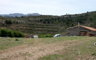 Ruta 11 Del Cortijo Nuevo al Cortijo del Zapatero