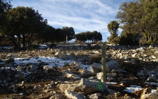 Mirador del Puntal de la Vieja Nerpio