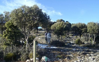 Mirador del Puntal de la Vieja Nerpio