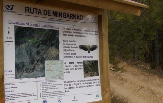 Ruta de Mingarnao