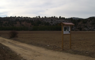 Ruta Ornitológica Artuñio Nerpio