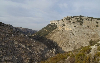 Ruta Ornitológica Artuñio Nerpio