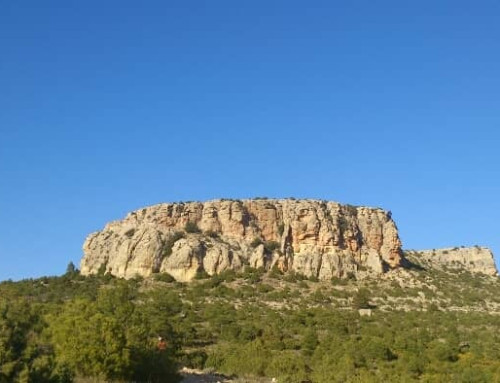 Ruta: Circular Nerpio – Peña Jarota