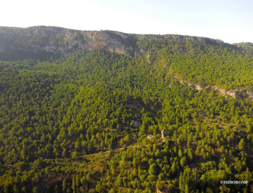 Camino San Juan de la Cruz Nerpio – Santiago de la Espada